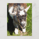 Recherche de chèques postaux posters Fermes