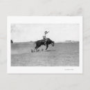 Recherche de équitation de taureau posters Ouest