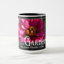 Recherche de zinnia Marguerie