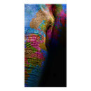 Recherche de éléphant coloré posters Moderne