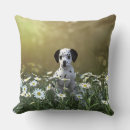 Recherche de champ de marguerite coussins Marguerie