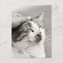 Recherche de caresse cartes postales Pour tous