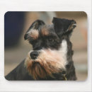 Recherche de velu tapis souris Chien