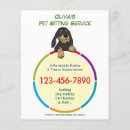 Recherche de pet sitter Groomer