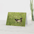 Recherche de pour le mâle vœux cartes Pour tous