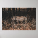 Recherche de rhinocéros posters Faune