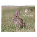 Recherche de lapin calendriers Animal