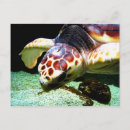 Recherche de mers cartes postales Terre