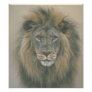 Zoek naar leeuw foto posters Leeuwen