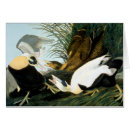 Recherche de jules bien Peinture de canard