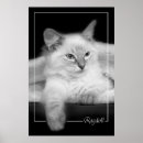 Recherche de poupée posters Chiffon