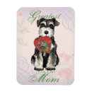 Recherche de schnauzer magnete Terrier