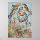 Zoek naar oerwoud vogels posters Afrika