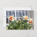 Zoek naar emoties kaarten Fotografie