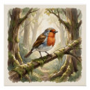 Zoek naar roodborstje kunst Schattig