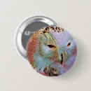 Zoek naar roofvogels buttons Uil