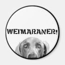 Recherche de weimaraner magnete Race de chien