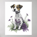 Recherche de jack russell posters Canine