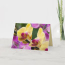 Zoek naar orchidee kaarten Schoonheid