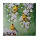 Recherche de apple carreaux Fleurs de printemps