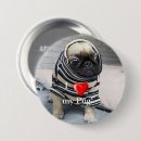 Recherche de chiots carlin badges Dog