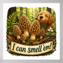 Recherche de champignon comestible posters Champignons