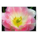 Recherche de rose choquant Fleurs