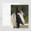 Recherche de tête de cheval cartes postales Bob langrish