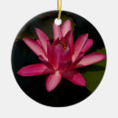 Zoek naar lotus flower ornamenten Lily