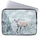 Recherche de renard de bébé électronique Nature
