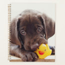 Recherche de jouet bureau fournitures Animal