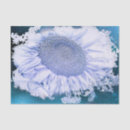 Recherche de fleur géante cadeau emballages Violet