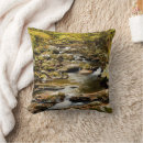 Recherche de blue ridge mountains Feuillage
