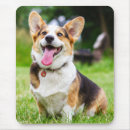 Recherche de corgi pembroke tapis souris Amoureux des animaux
