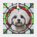 Recherche de coton de tulear maison deco Mignon