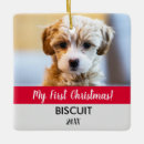 Recherche de chiots ornements Mes premiers noël