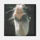 Recherche de favori magnets Humour