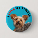 Recherche de yorkie photographie Animal