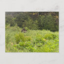 Recherche de moose posters Extérieur