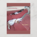 Zoek naar lazy briefkaarten Katten