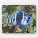 Recherche de climat tropical tapis souris Horizontal