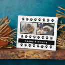 Recherche de animaux plaques Pour animaux