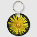 Recherche de fleur de pissenlit porteclés Photographie