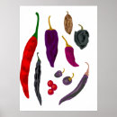 Recherche de poivrons posters Piment
