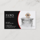 Recherche de toilettage rendez vous cartes Animal