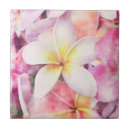 Zoek naar frangipani tegels Hawaii