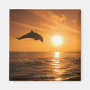 Recherche de dauphin de bottlenose Vie marine