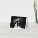 Zoek naar boxer dog kaarten Bokshond