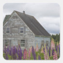 Recherche de lupins autocollants Nature