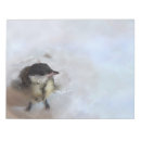 Recherche de bird blocsnotes Faune